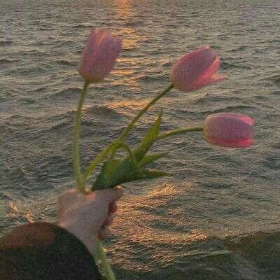 华体会登录手机版手机app下载